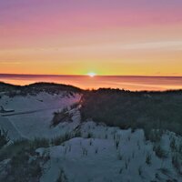 The TradeMark Experience