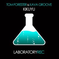 Kava Groove