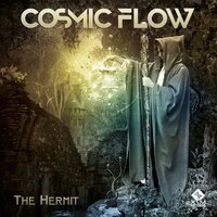 Cosmic Flow