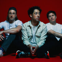 The Wombats