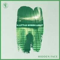 Hidden Face