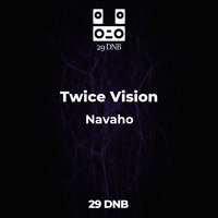 Twice Vision