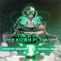 Kaizen Flow