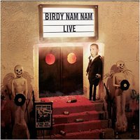 Birdy Nam Nam