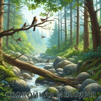 Исцеляющие мелодии