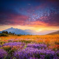 Restaurant Background Playlist