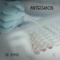 Antechaos