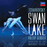 Mariinsky Orchestra