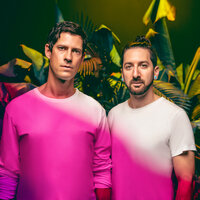 Big Gigantic