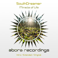 SouthDreamer