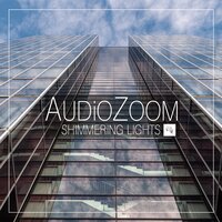 Audiozoom